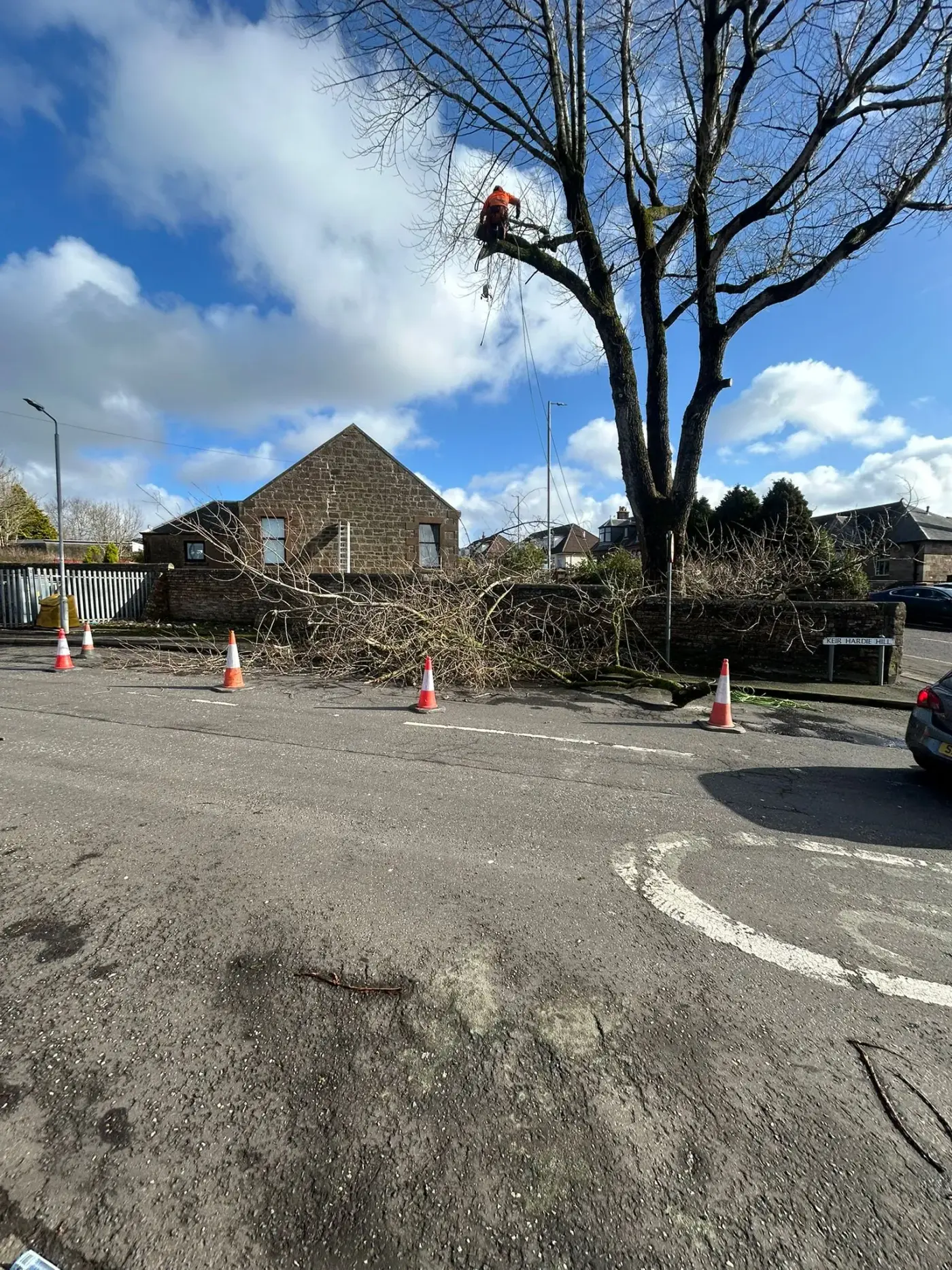Tree removal by Riverside Landscaping in Glasgow